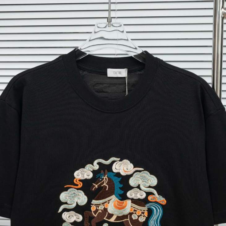 Dior T Shirts Short _SKUDiorS-2XLxetr22915927